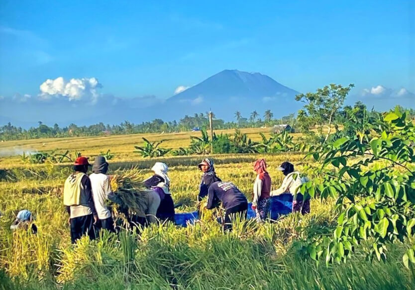The Top 50 Best Tourism Villages in Indonesia