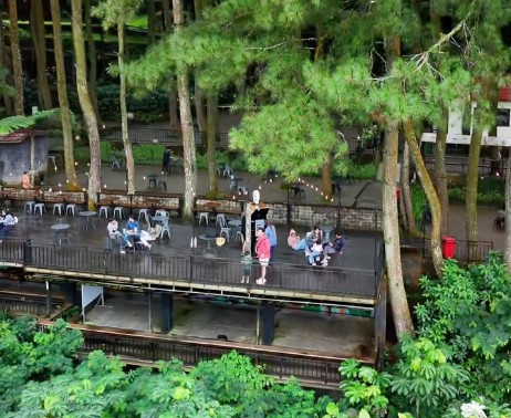 Best Coffee Shop and Cafe in Bogor for Coffee, Brunch, Views, and Remote Work